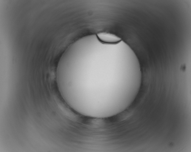 X0000112540085200909071432