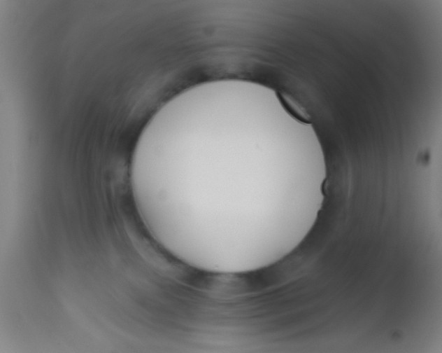 X0000112540087200909071432