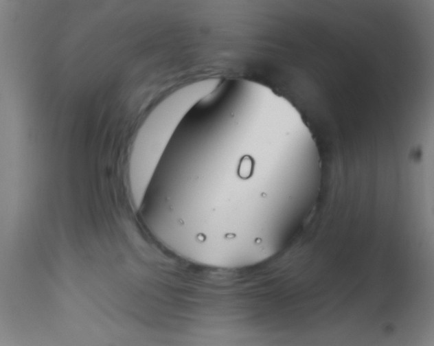 X0000112540088200909071432