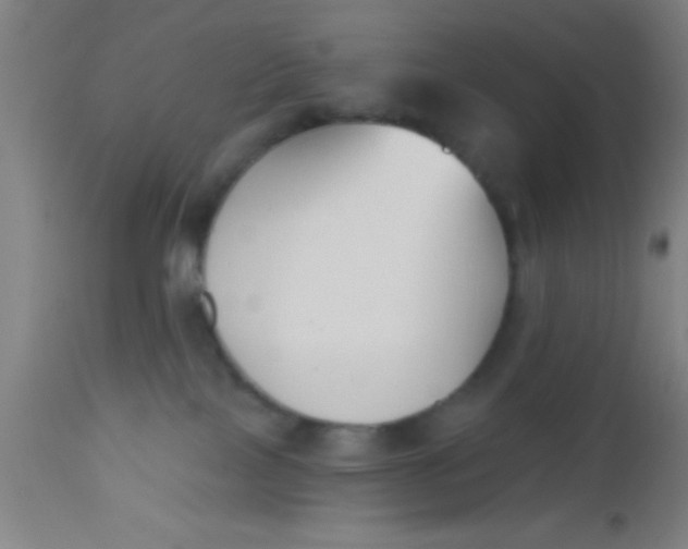 X0000112540089200909071432