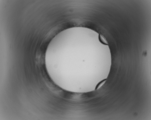 X0000112540090200909071432