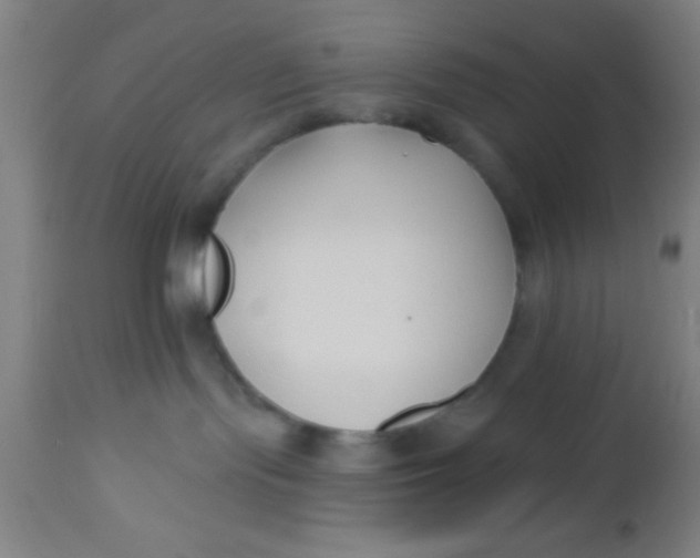 X0000112540095200909071432
