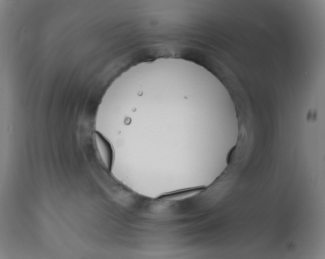 X0000112540096200909071432