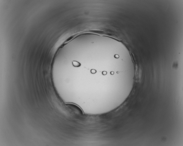 X0000112540099200909071432