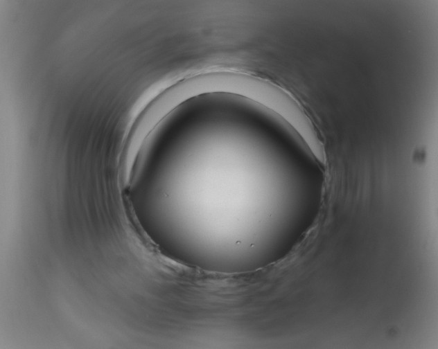 X0000112540100200909071432