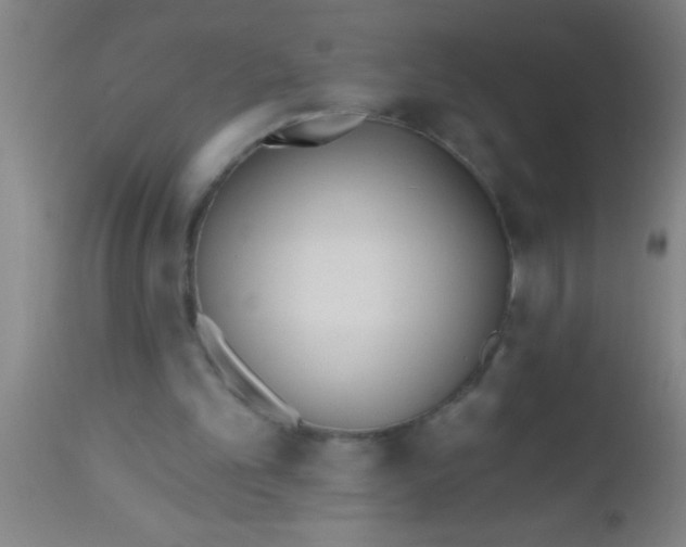 X0000112540101200909071432