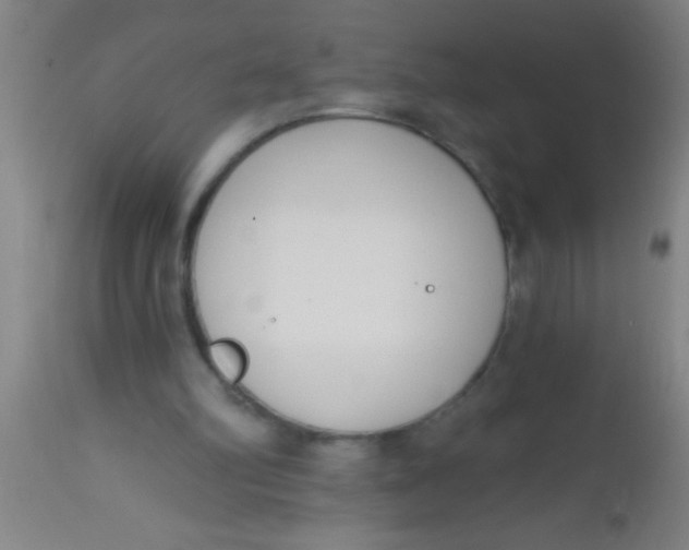 X0000112540102200909071432