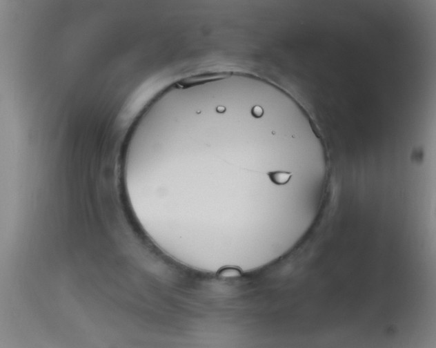 X0000112540103200909071431