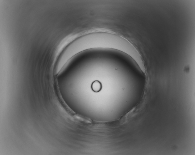 X0000112540104200909071431
