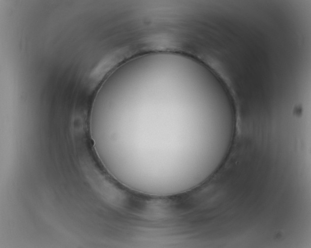 X0000112540105200909071431