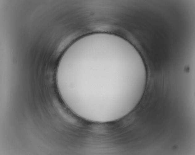 X0000112540106200909071431