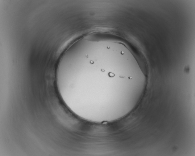 X0000112540107200909071431