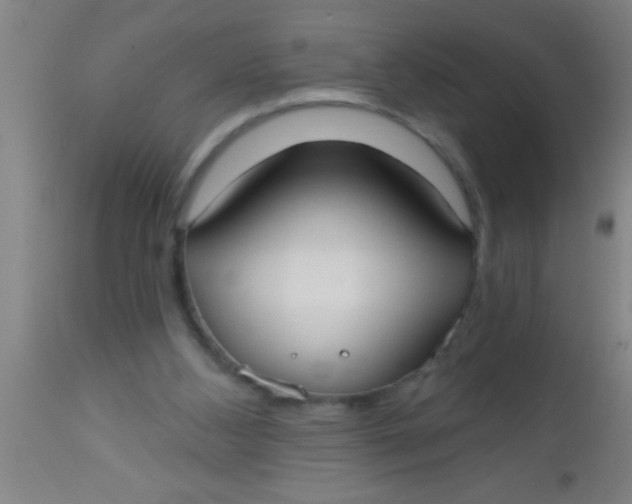 X0000112540108200909071431