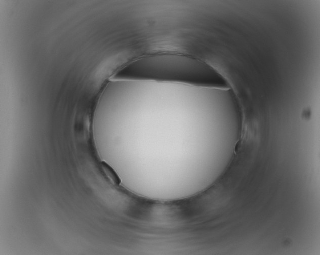 X0000112540109200909071431