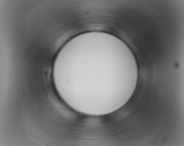 X0000112540110200909071431