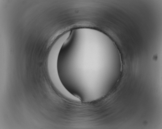 X0000112540111200909071431