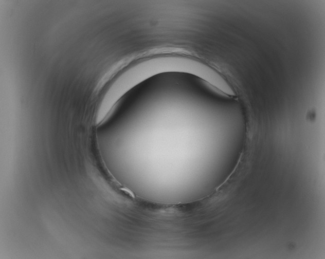 X0000112540112200909071431