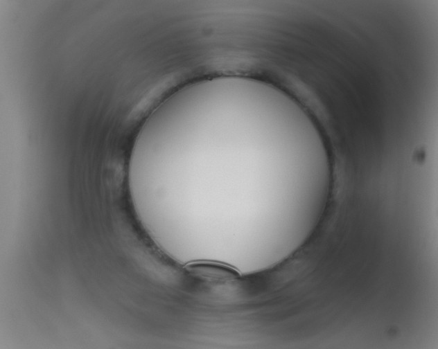 X0000112540113200909071431