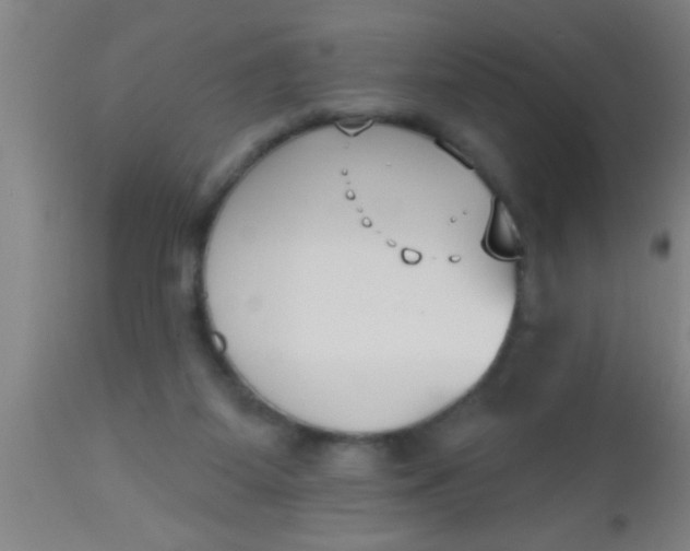 X0000112540115200909071431
