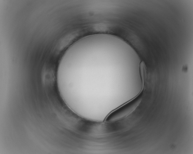 X0000112540116200909071431