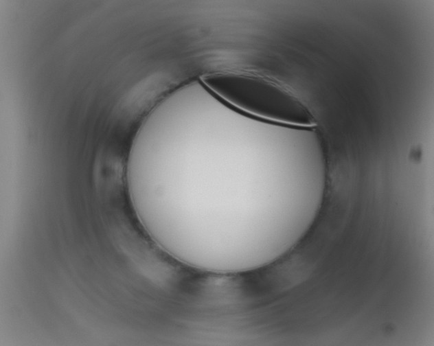 X0000112540117200909071431