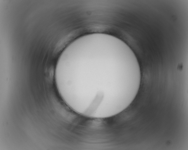 X0000112540118200909071431