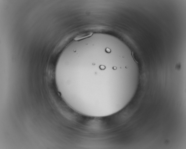 X0000112540119200909071431