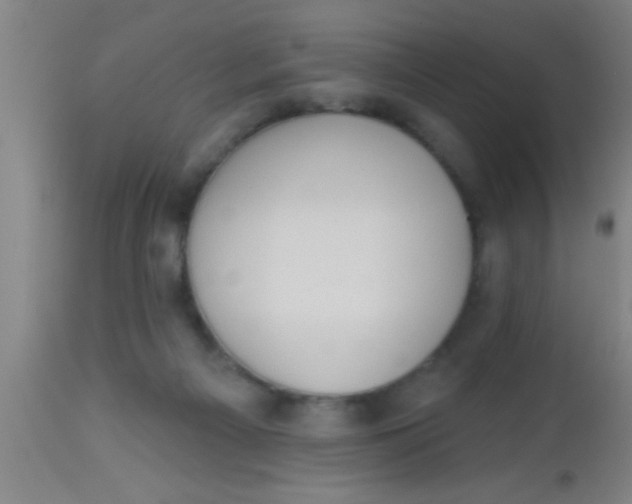 X0000112540121200909071431