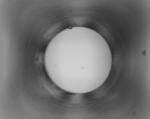 X0000112540122200909071431