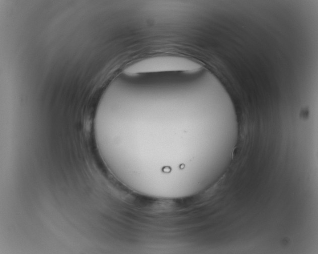 X0000112540124200909071431