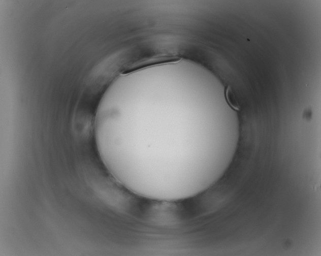 X0000112540125200909071431