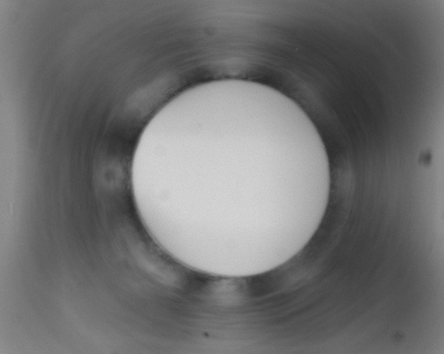 X0000112540126200909071431