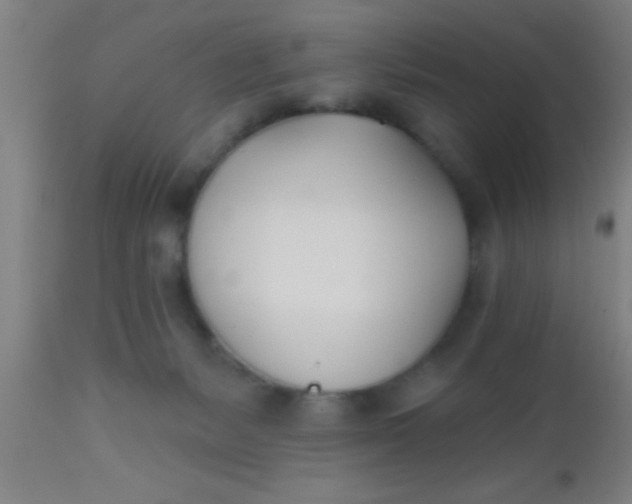 X0000112540127200909071431