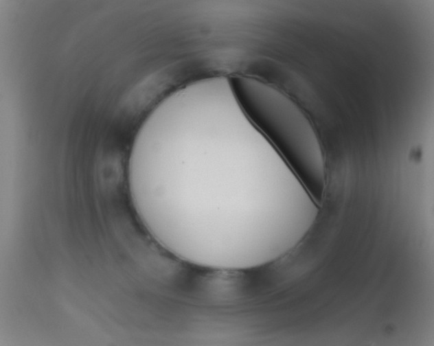 X0000112540128200909071431