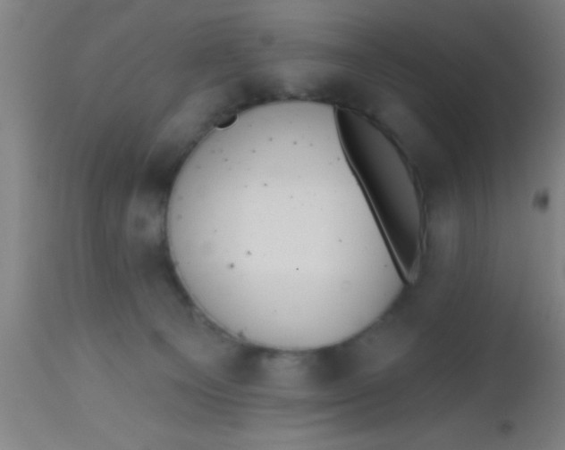 X0000112540129200909071431