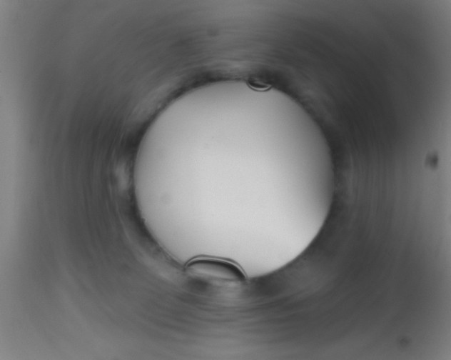 X0000112540131200909071431