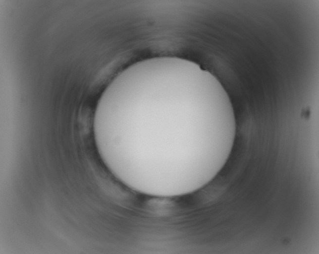 X0000112540133200909071431