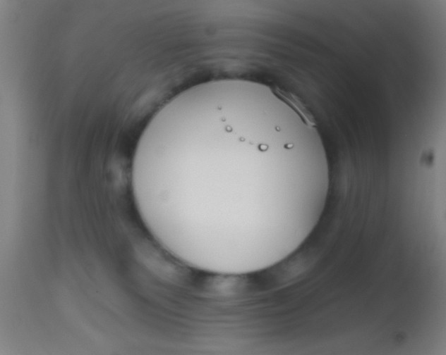 X0000112540135200909071431
