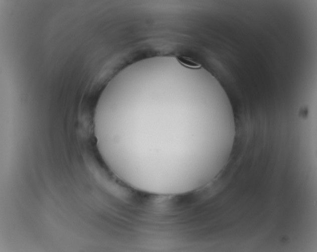 X0000112540136200909071431