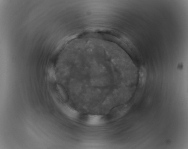 X0000112540143200909071430