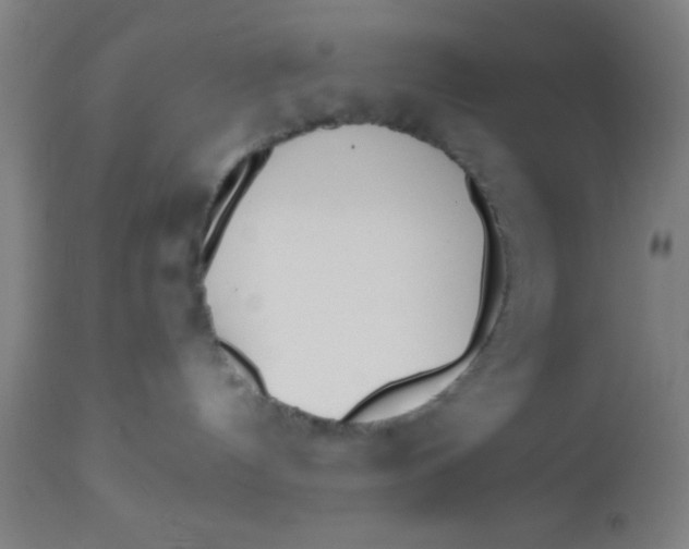 X0000112540144200909071430