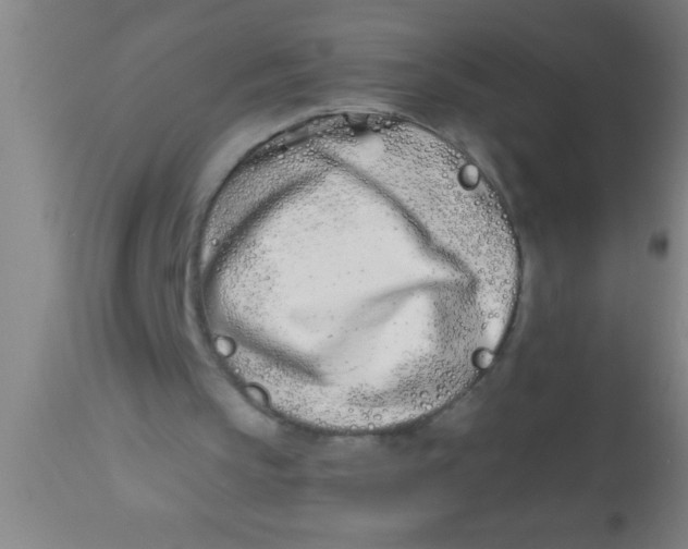 X0000112540145200909071430