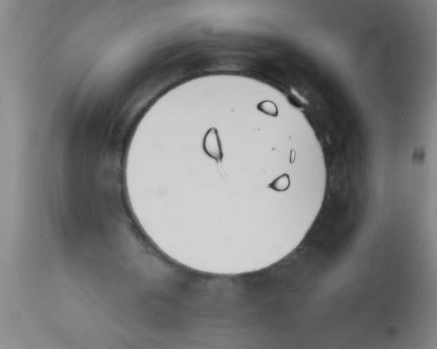 X0000112540146200909071430