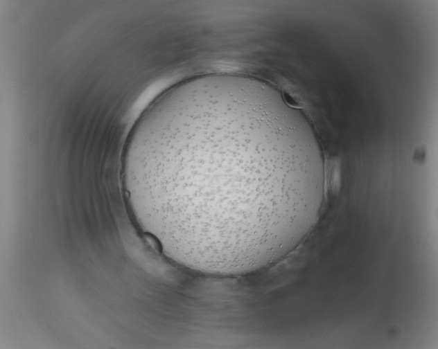 X0000112540147200909071430