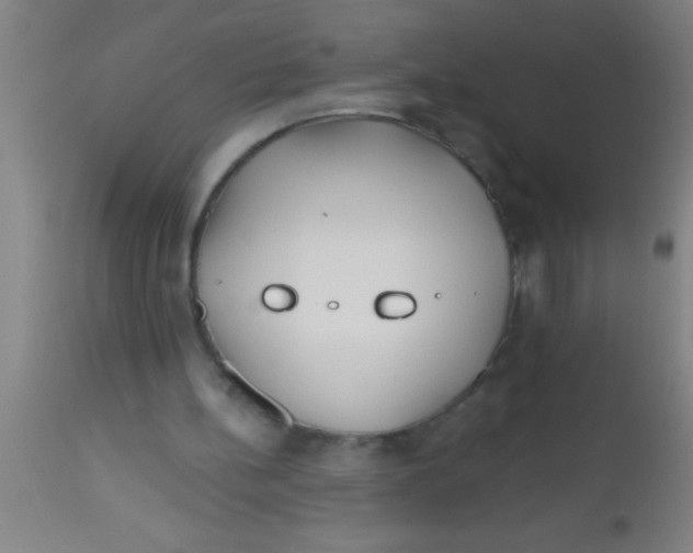 X0000112540148200909071430