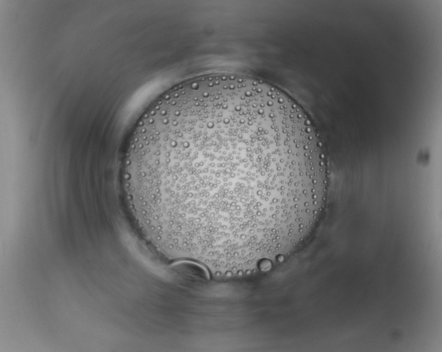 X0000112540149200909071430