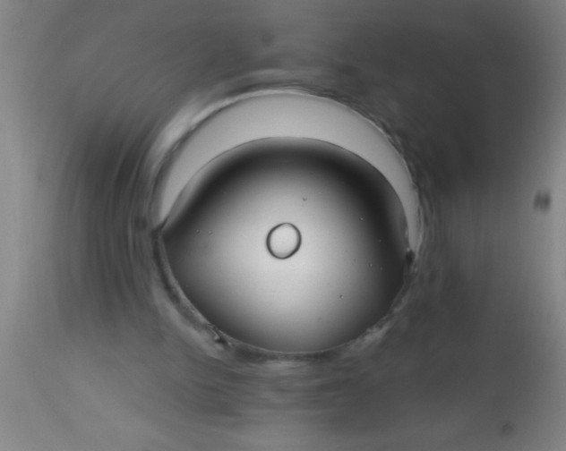 X0000112540150200909071430