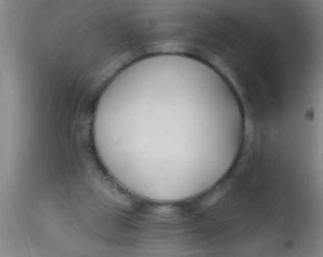 X0000112540153200909071430
