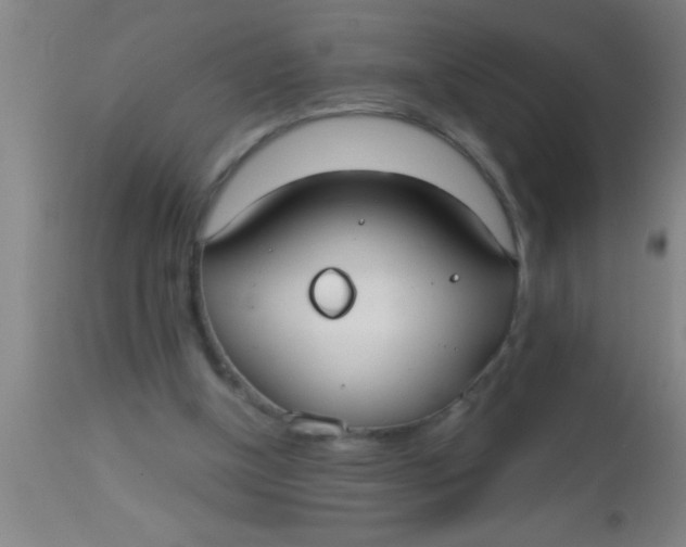 X0000112540154200909071430