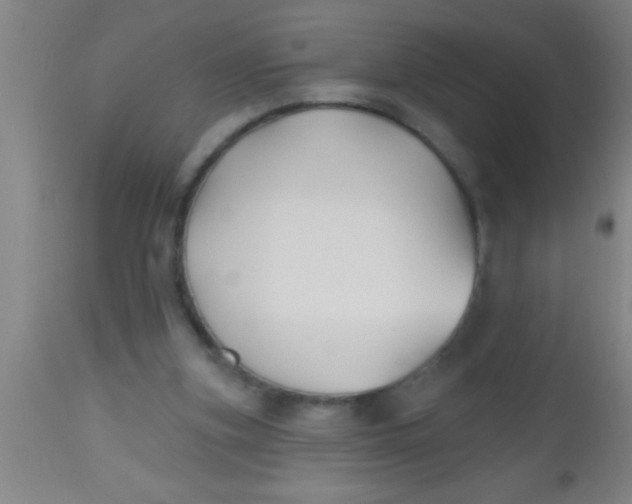 X0000112540155200909071430